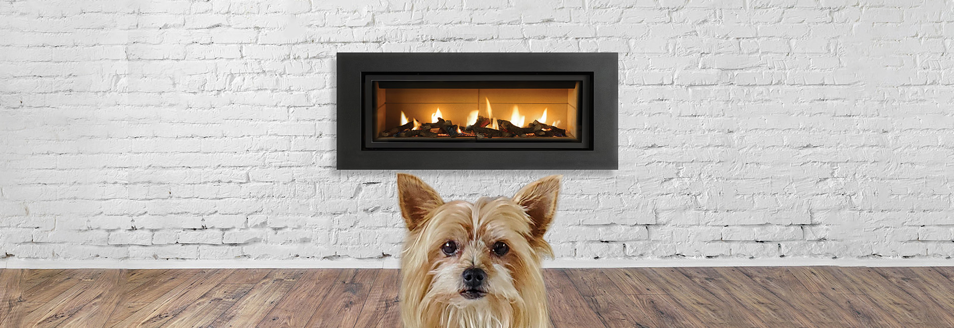 Pup Mascot at Chimney 1 Fireplace